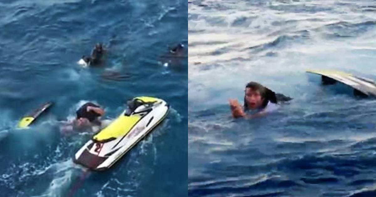 Il tiro va male: le acrobazie di Jackass attaccano uno sciame di squali |  tv
