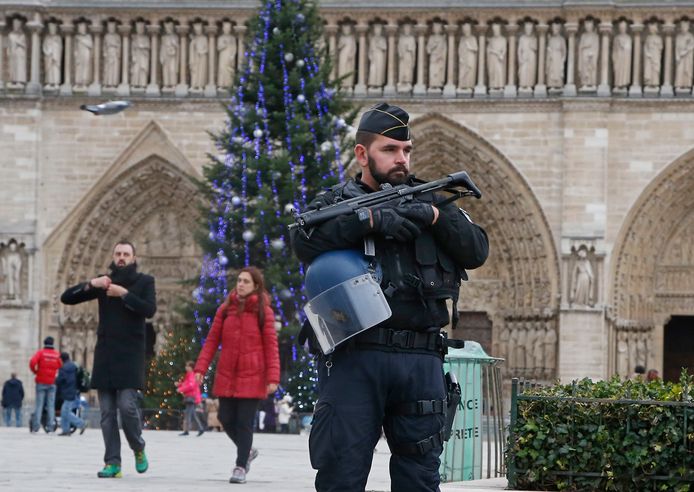 Een politeagent patrouilleert voor de Notre-Dame in Parijs.