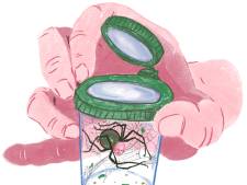 Zorgbedrijf Compass steeds verder in het nauw, omstreden directeur kondigt vertrek aan