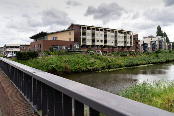 De Aa bij de Bartenbrug, achter het groen ligt de Halve Maan die zichtbaar gemaakt wordt. Op het water komt een vlonderpad.