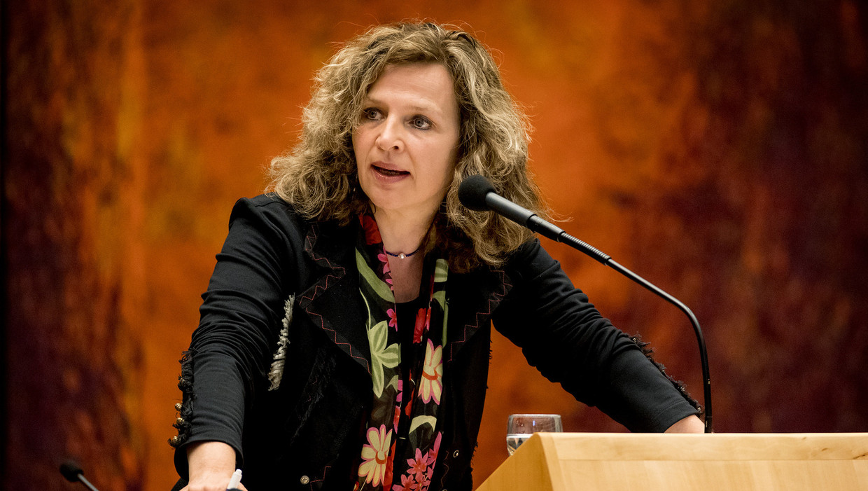 Minister Edith Schippers van volksgezondheid. Beeld anp