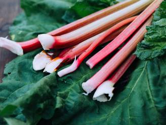 Rabarber: meer dan een ingrediënt voor crumble of confituur. “Maak eens kip met rabarbermoes in plaats van appelmoes”