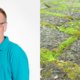 ‘Simpel en meteen werkzaam: grof zand’