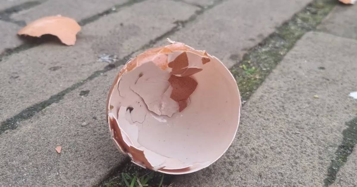 ‘Bijna een hartaanval’ als er op de ramen wordt gebonkt: Inwoners Arnemuiden worden geteisterd door 