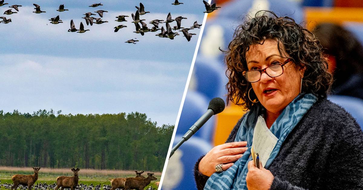 Duizenden woningen in de Oostvaardersplassen? Plan BoerBurgerBeweging roept veel reacties op - De St