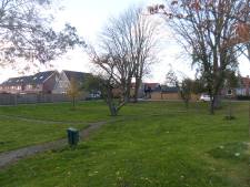 'Vaart achter aanpak van park in Giessen'