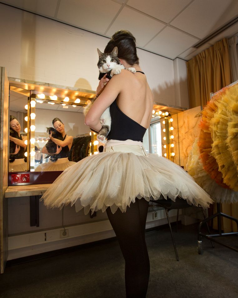 Kater Abatutu, die een rol speelt in 'Don Quichot', in de kleedkamer op de arm bij een van de danseressen. Beeld Maartje Geels
