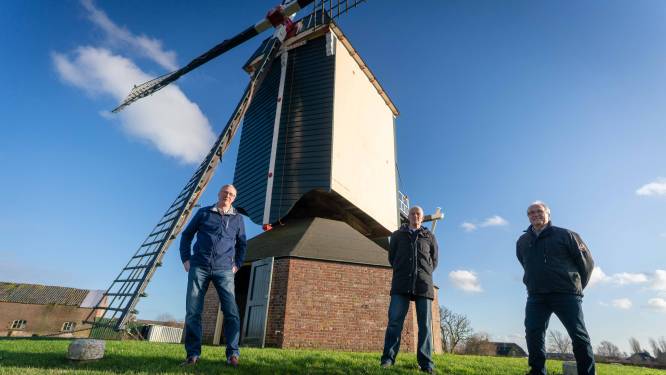 Valburgse molen moet nog geen 25 jaar na grote renovatie alweer op de schop: ‘Was toch erger dan we dachten’