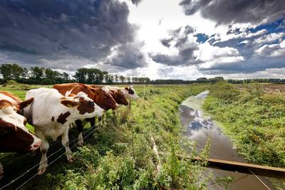 Groote Waterloop wordt natuurlijke verbinding tussen de Scheeken en het Dommeldal
