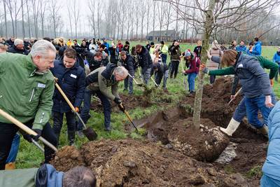 Mijlpaal voor ARK: de honderdduizendste boom wordt geplant in het Groene Woud