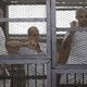 Egyptische president zegt berechting journalisten 'te betreuren'