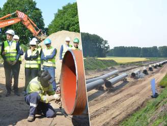 Lokerse landbouwvelden decor voor ‘werf van het decennium’: “Transport van gas én waterstof onder E17 en Schelde”