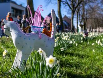 Wat te doen in het Waasland en Dendermonde dit weekend: van plantenmarkt tot sportieve tandemrally