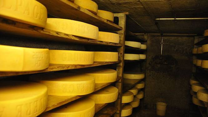 Aux États-Unis, la justice a tranché: n’importe quel fromage à trous peut s’appeler du gruyère