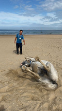 Xu en Furion op het strand van Scheveningen. Ze lopen nu samen van de westkust van Nederland naar de oostkust van China.