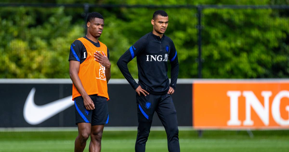 De Boer Puts Cody Gakpo In The Stands At Orange For The Second Time In A Row Psv Netherlands News Live