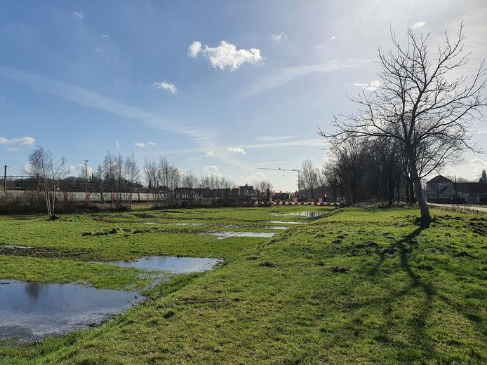 De omgeving van het station en de douaneloods - waar nu Robotland in is gevestigd - ondergaat de komende tien jaar een ware metamorfose.