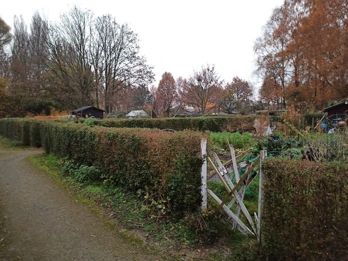 Vandelen beschadigden enkele poortjes.