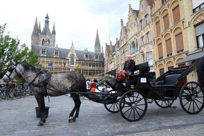 Trek met paard en koets door Ieper | Ieper | hln.be