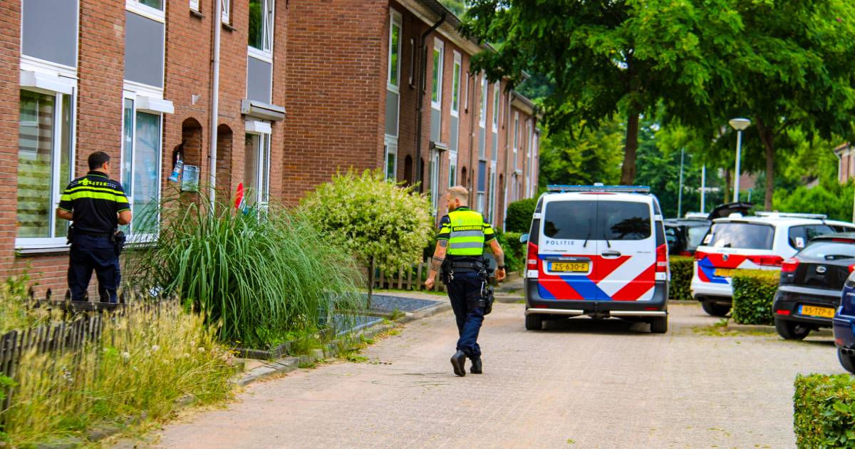 Een ruzie tussen twee mannen in Twello is vanmiddag uitgemond in een bloederig steekincident.