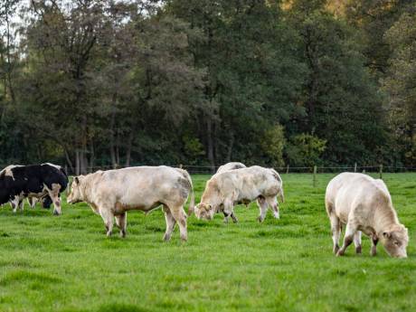 'Bom' in weiland Surhuizum bron van onderzoek