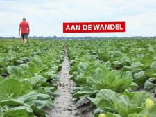Terug naar de basis tussen de spruitjes en graan bij Woubrugge