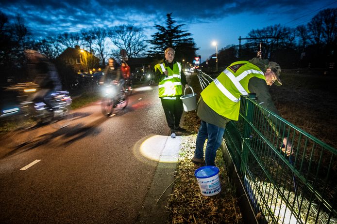 Vrijwilligers voorkomen zondagavond dat padden en salamanders onder de wielen komen van FC Twente-supporters die zich via fietssnelweg F35 richting stadion begeven.