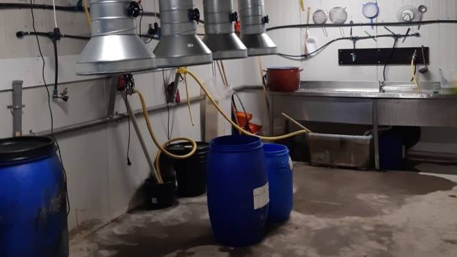 Celstraffen tot 5 jaar voor productie van crystal meth in Westdorpe