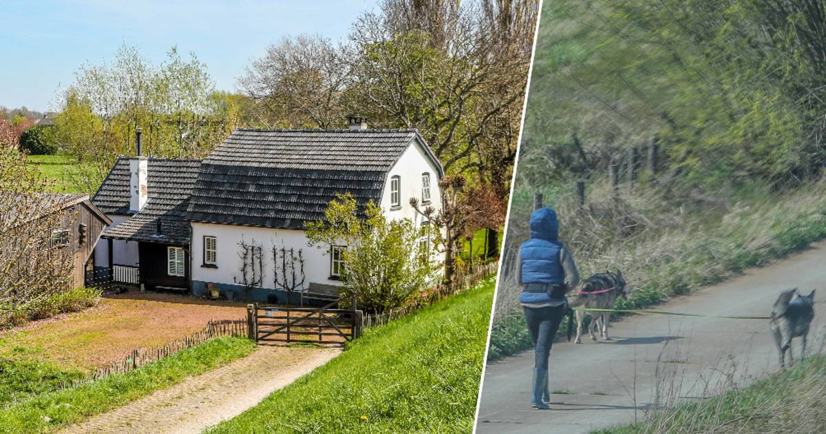 In het Nederlandse polderdorpje waar Belgische vrouw (35) overleed: “Detoxkuur? Nee, dat gebeurt hie