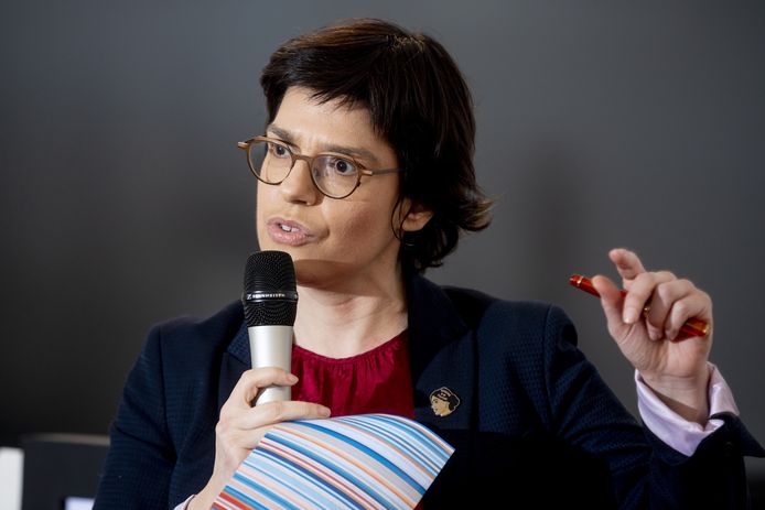 Le plan de développement du gestionnaire du réseau doit encore recevoir l'aval de la ministre de l'Énergie Tinne Van der Straeten (Groen).