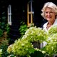 Prinses Irene: diep gekwetst door biografie over haar moeder Juliana