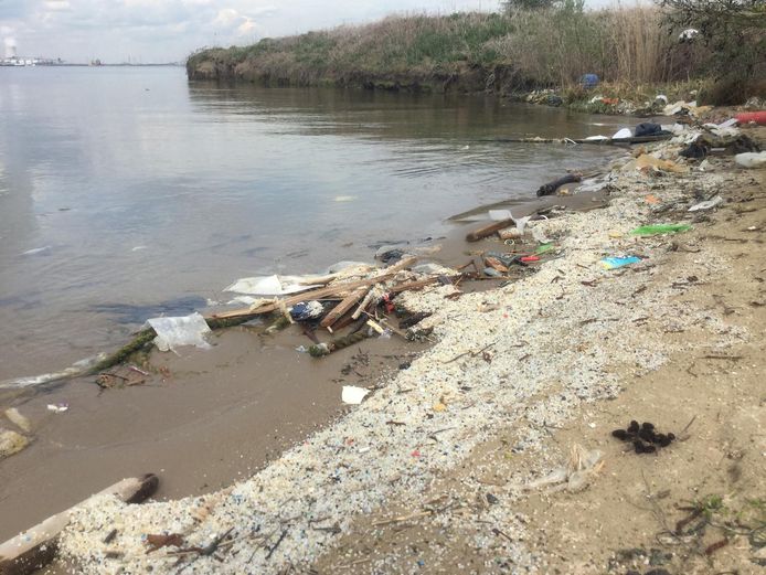 De vervuiling door plastics is onder meer duidelijk zichtbaar aan het Verrebroekdok en Doeldok in de Waaslandhaven.