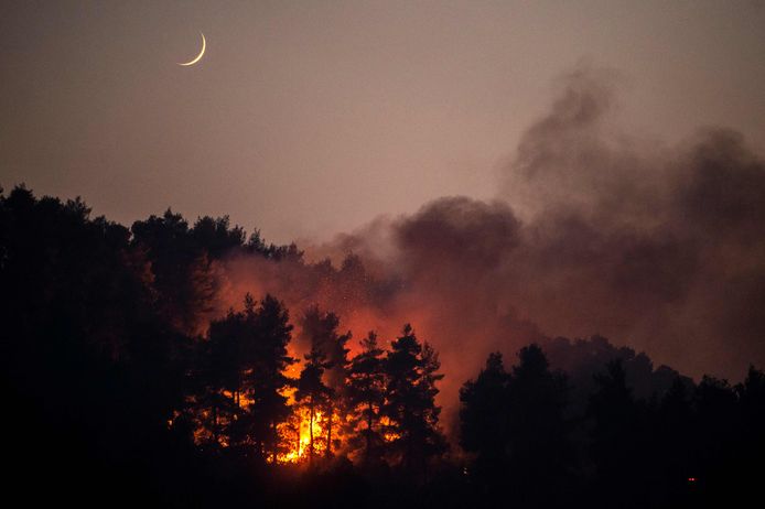 Een zware bosbrand op het eiland Evia