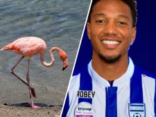 Flamingo's op de Veluwe en Jonathan de Guzman naar VV Unicum: Deze 1 aprilgrappen gaan rond in Oost-Nederland