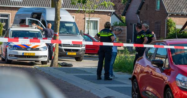 Vader slachtoffer steekpartij Dedemsvaart: 'Ik ga kapot van verdriet' - De Stentor
