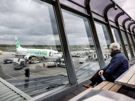 Wat moet je doen als Transavia je vlucht annuleert? ‘Je hoeft het alternatief niet te accepteren’