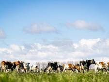 Eindelijk lente in zicht: dit weekend flink wat zon, wel koude nachten