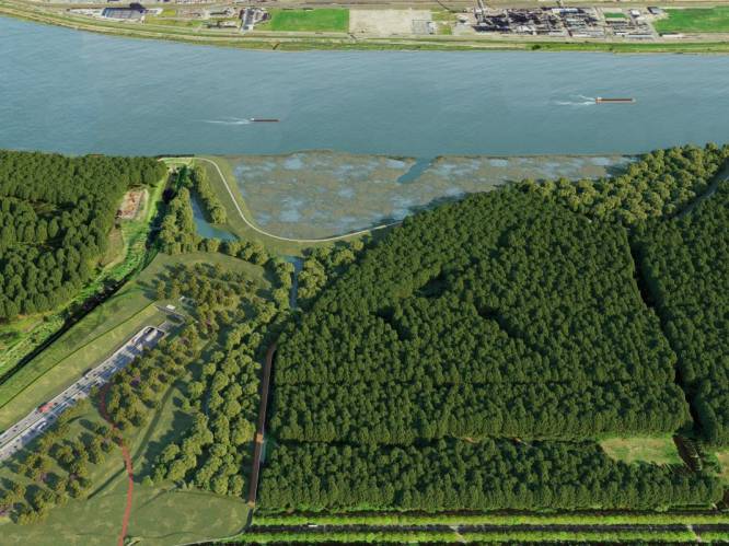 Milieuverenigingen krijgen ongelijk in zaak rond lozingsnormen Oosterweel