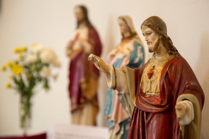 De afgelopen acht jaar zijn twaalf katholieke priesters geschorst en twee uit het ambt gezet vanwege seksueel misbruik van minderjarigen.