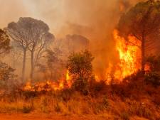 Incendie dans un vaste camp militaire du sud de la France, 600 hectares brûlés