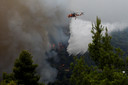Bosbranden in Griekenland.