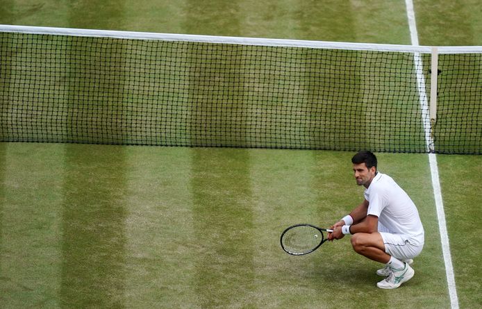 Djokovic op Wimbledon.