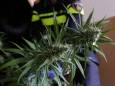 Garage in woonwijk in Oisterwijk blijkt opslag voor drugs en vuurwerk
