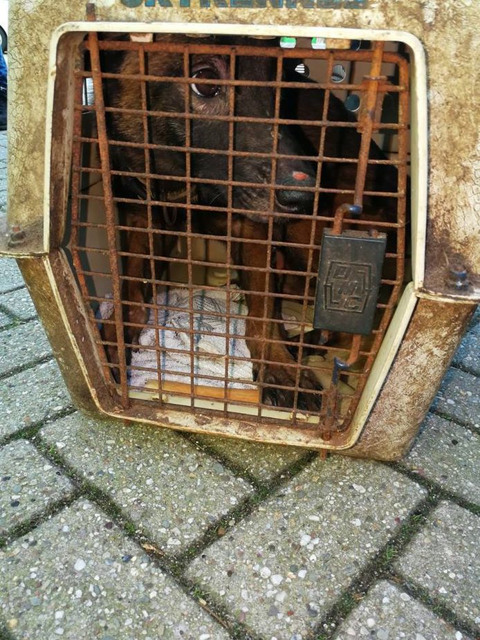 Politie Noord-Holland