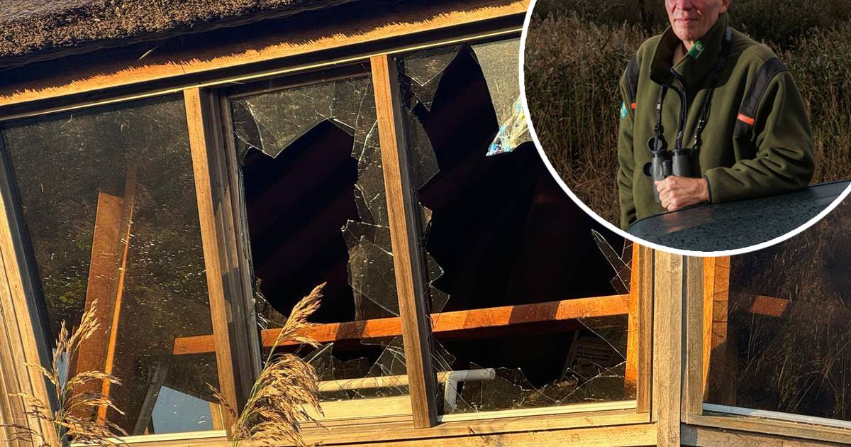 Vandalen vernielen ‘het mooiste plekje’ van de Oostvaardersplassen: ‘Wie verzint dit’