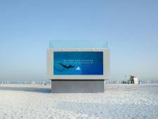 Ce panneau publicitaire Adidas est une piscine