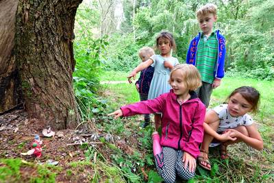 Kinderen raken in sprookjessferen tijdens elfjes spotten in Gastels bos