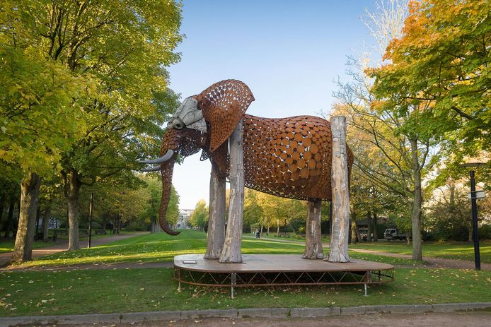 Drie maanden lang kan je de schattige olifant aan het Zuidpark bewonderen.