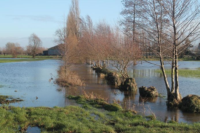 Bij aanhoudende regen staan de weiden rond de Spinhoutstraat nu al onder water. Extra bebouwing zou dat volgens de buurt onhoudbaar maken.
