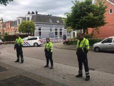 Opnieuw een ree gesignaleerd in woonwijk Leeuwarden